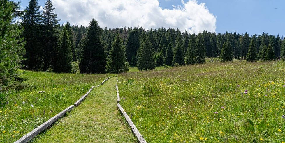 Giardino Botanico Alpino di Passo Coe, Italy